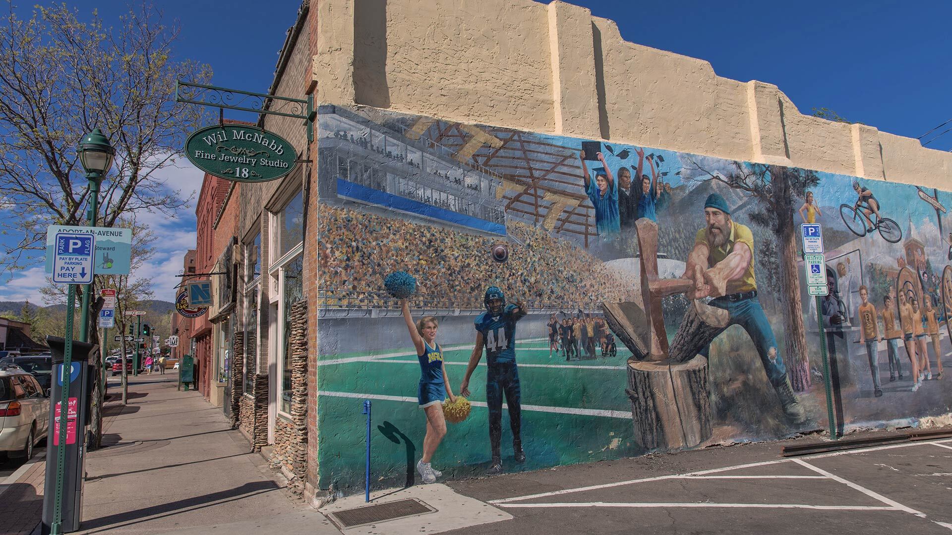 Vlm flagstaff wil mcnabb mural